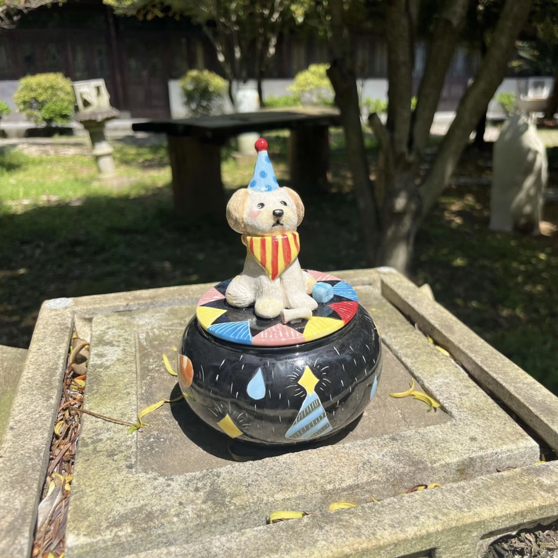 Circus Joy